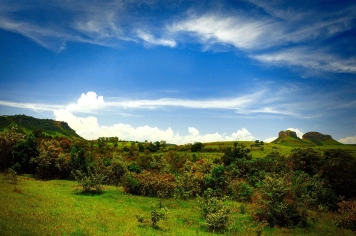 Bofete No Ranking MIT